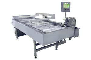 連続式小型電気フライヤー DEC-B型